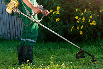 Garden Maintenance